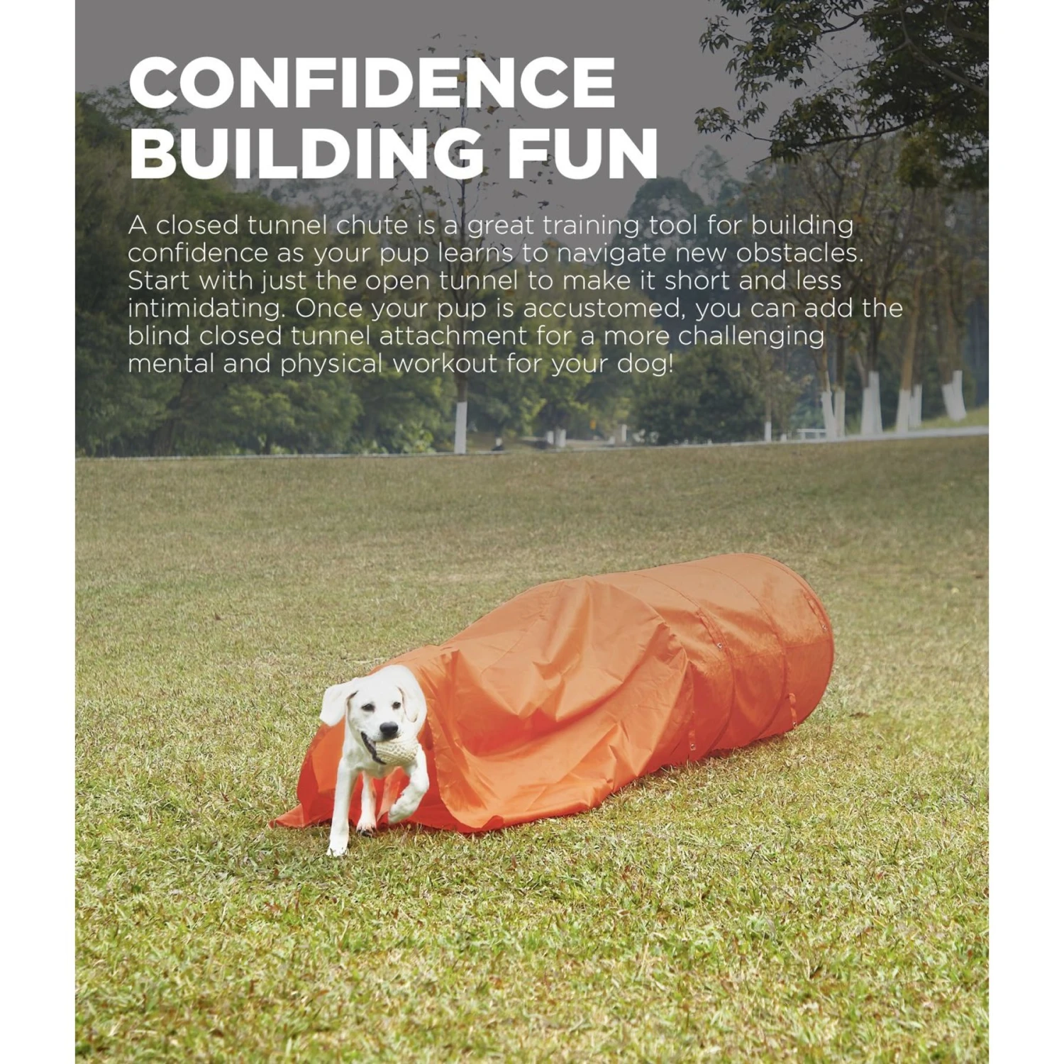 Outward Hound Zip & Zoom Closed Tunnel Chute Attachment With Metal Stakes Dog Agility Kit, Orange 2 Outward Hound Zip & Zoom Closed Tunnel Chute Attachment With Metal Stakes Dog Agility Kit, Orange - Image 2