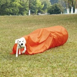 Outward Hound Zip & Zoom Closed Tunnel Chute Attachment With Metal Stakes Dog Agility Kit, Orange 10 Outward Hound Zip & Zoom Closed Tunnel Chute Attachment With Metal Stakes Dog Agility Kit, Orange -Pup Haven Sales Store 786494 PT4. AC SS1800 V1682620881