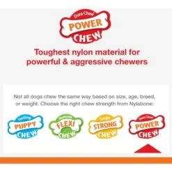 Nylabone Power Chew Baguette Dog Toy Chicken -Pup Haven Sales Store 794742 PT6. AC SS1800 V1689707871