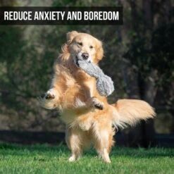 Hyper Pet Doggie Tail Interactive Dog Toy 11 Hyper Pet Doggie Tail Interactive Dog Toy -Pup Haven Sales Store 80151 Pt3. AC SS1800 V1583767075