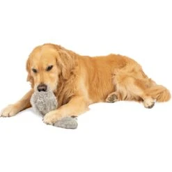 Hyper Pet Doggie Tail Interactive Dog Toy 13 Hyper Pet Doggie Tail Interactive Dog Toy -Pup Haven Sales Store 80151 Pt5. AC SS1800 V1583768575