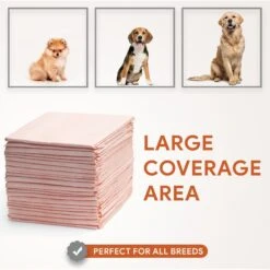 Chew + Heal Max Protect Ultra Absorbent Dog Potty Pads, 30 X 36-in -Pup Haven Sales Store 804806 PT4. AC SS1800 V1679000985