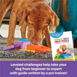 Brightkins Surprise Party! Puzzle Treat Dog Toy 8 Brightkins Surprise Party! Puzzle Treat Dog Toy -Pup Haven Sales Store 805390 PT2. AC SS1800 V1679069715