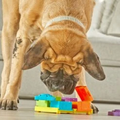 Brightkins Surprise Party! Puzzle Treat Dog Toy 9 Brightkins Surprise Party! Puzzle Treat Dog Toy -Pup Haven Sales Store 805390 PT3. AC SS1800 V1682450532