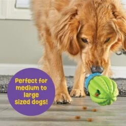 Brightkins Cactus Surprise! Treat Dispensing Dog Toy 10 Brightkins Cactus Surprise! Treat Dispensing Dog Toy -Pup Haven Sales Store 805422 PT4. AC SS1800 V1682450356