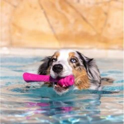 Project Hive Pet Company Hive Wild Berry Scented Fetch Stick Dog Toy, Pink 9 Project Hive Pet Company Hive Wild Berry Scented Fetch Stick Dog Toy, Pink -Pup Haven Sales Store 805934 PT3. AC SS1800 V1683560556