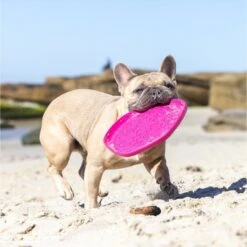 Project Hive Pet Company Hive Wild Berry Scented Disc & Lick Mat Dog Toy, Pink 11 Project Hive Pet Company Hive Wild Berry Scented Disc & Lick Mat Dog Toy, Pink -Pup Haven Sales Store 805950 PT4. AC SS1800 V1683565988