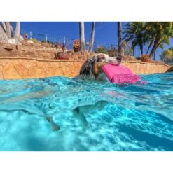 Project Hive Pet Company Hive Wild Berry Scented Disc & Lick Mat Dog Toy, Pink 13 Project Hive Pet Company Hive Wild Berry Scented Disc & Lick Mat Dog Toy, Pink -Pup Haven Sales Store 805950 PT6. AC SS1800 V1683566323