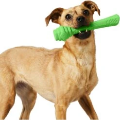 Project Hive Pet Company Hive Tropical Coconut Scented Fetch Stick Dog Toy, Green -Pup Haven Sales Store 806126 PT5. AC SS1800 V1683567993
