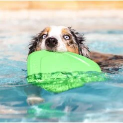 Project Hive Pet Company Hive Tropical Coconut Scented Disc & Lick Mat Dog Toy, Green 9 Project Hive Pet Company Hive Tropical Coconut Scented Disc & Lick Mat Dog Toy, Green -Pup Haven Sales Store 806142 PT4. AC SS1800 V1683565308