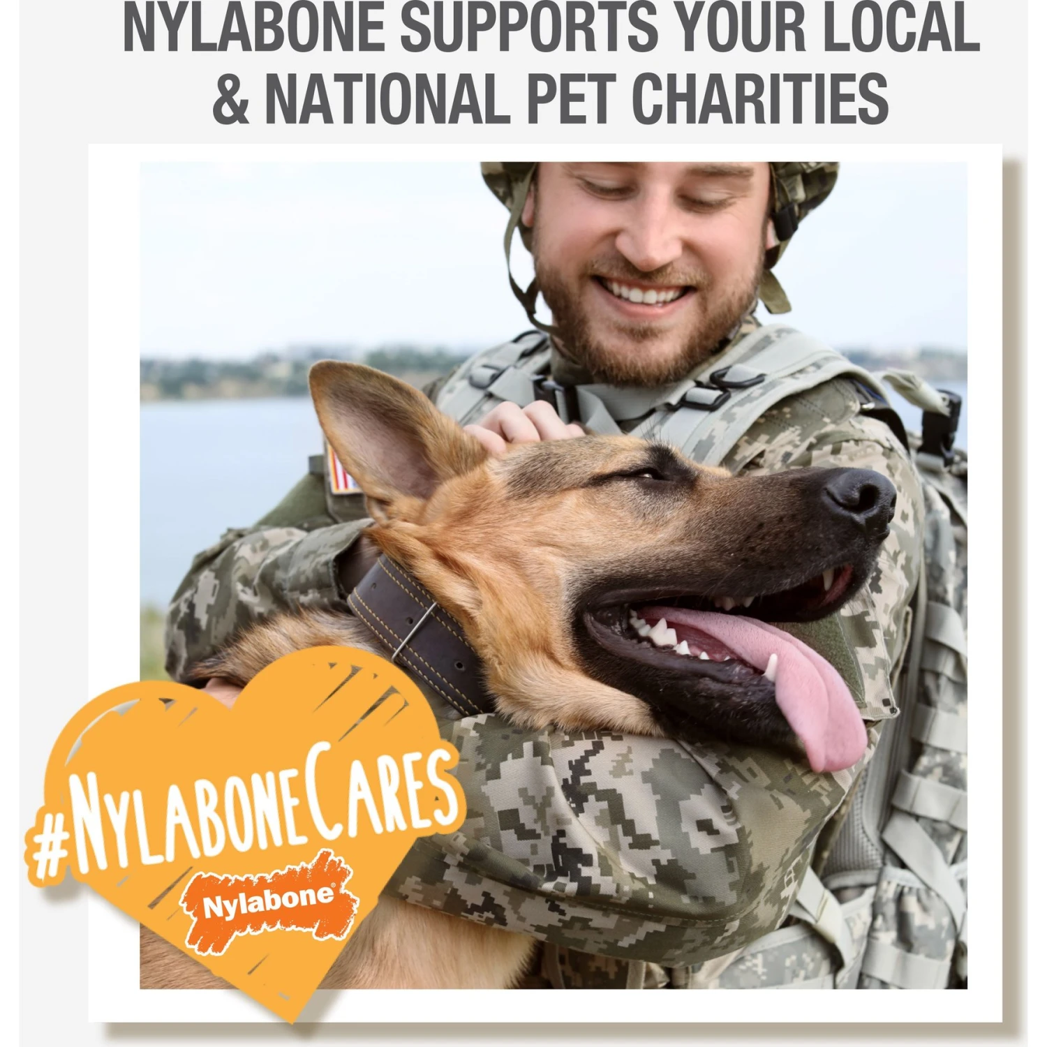 Nylabone Dog Toy Power Chew Dog Toy For Aggressive Chewers - Axis Bone Dog Toy - Bacon 6 Nylabone Dog Toy Power Chew Dog Toy For Aggressive Chewers - Axis Bone Dog Toy - Bacon - Image 6