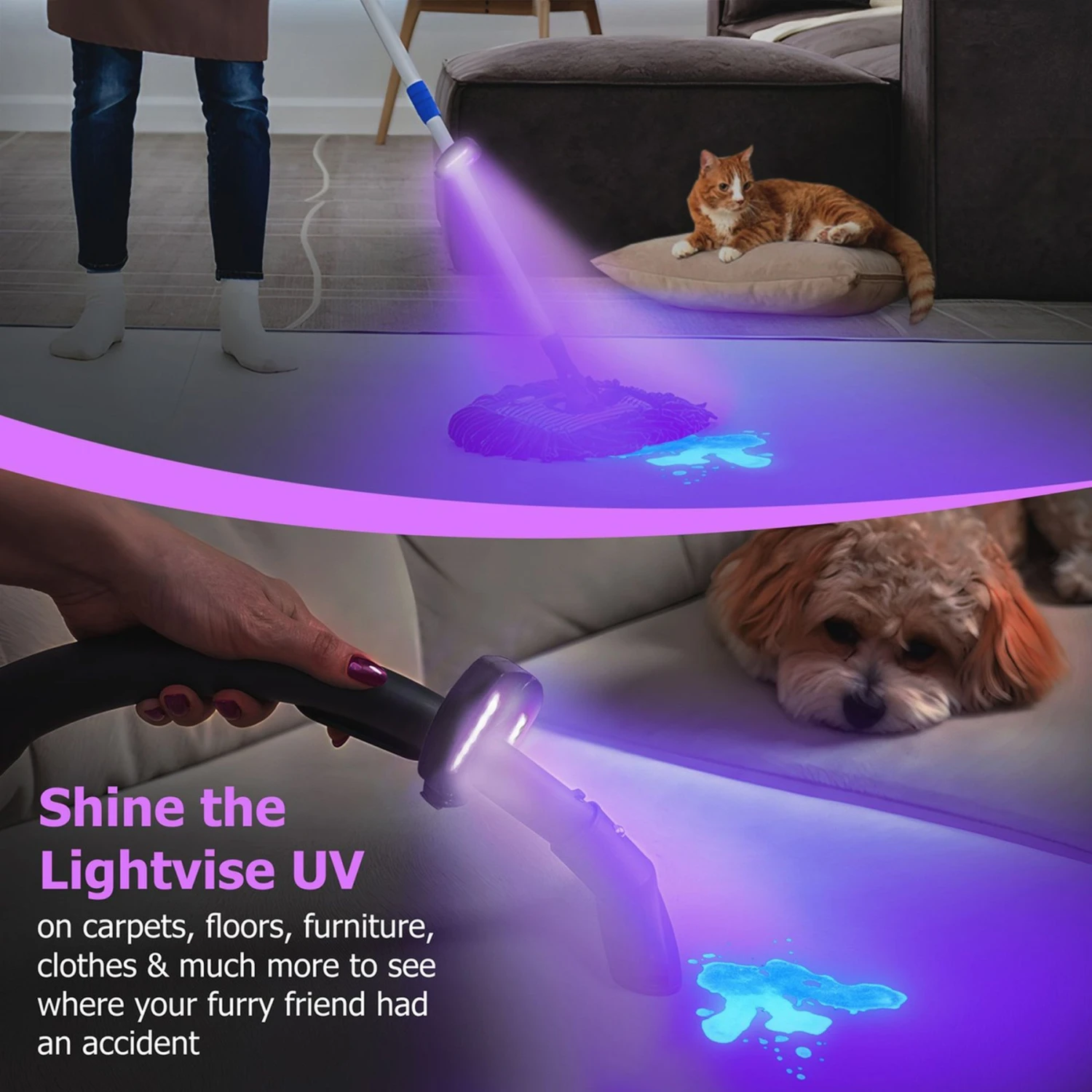 Lightvise Universal LED Clamp-On Dual UV Dog & Cat Pet Urine Stain Detector Magnetic Flashlight, Black 2 Lightvise Universal LED Clamp-On Dual UV Dog & Cat Pet Urine Stain Detector Magnetic Flashlight, Black - Image 2