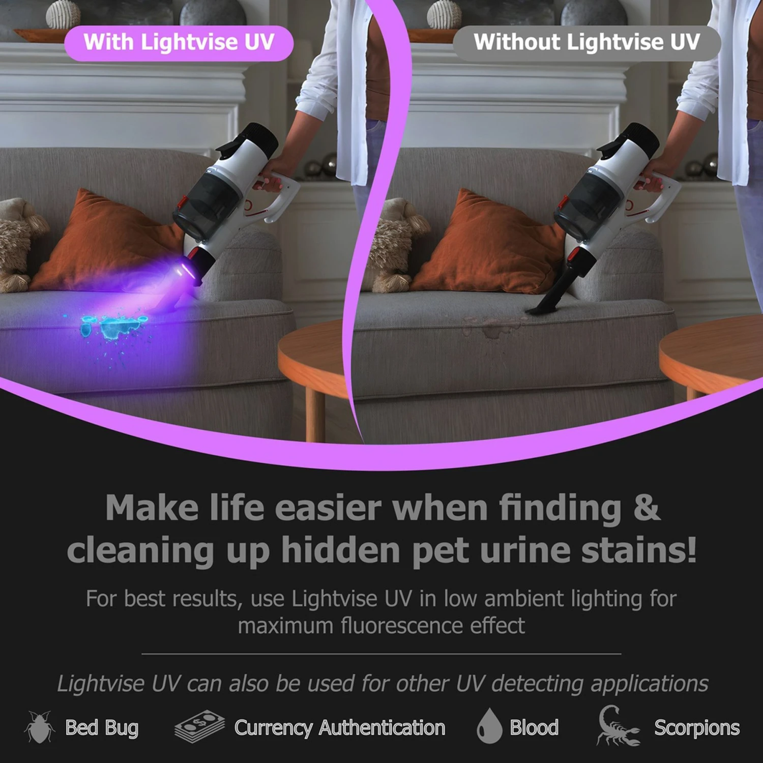 Lightvise Universal LED Clamp-On Dual UV Dog & Cat Pet Urine Stain Detector Magnetic Flashlight, Black 3 Lightvise Universal LED Clamp-On Dual UV Dog & Cat Pet Urine Stain Detector Magnetic Flashlight, Black - Image 3