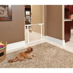 MidWest ICrate Fold & Carry Single Door Collapsible Wire Dog Crate & MidWest Steel Pet Gate -Pup Haven Sales Store 815134 PT6. AC SS1800 V1679500871