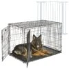 MidWest ICrate Fold & Carry Double Door Collapsible Wire Dog Crate & MidWest Steel Pet Gate