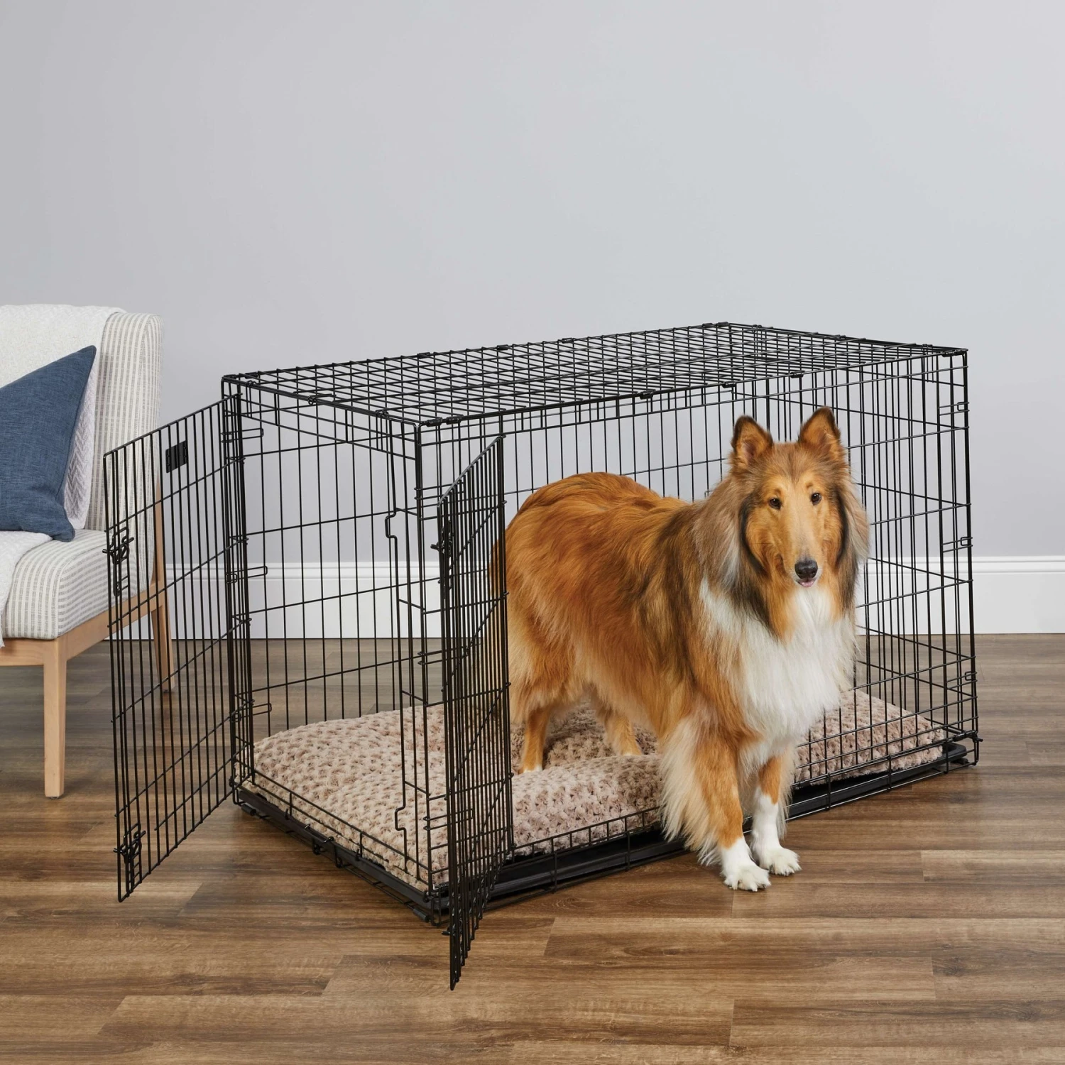MidWest ICrate Fold & Carry Double Door Collapsible Wire Dog Crate & MidWest Steel Pet Gate 3 MidWest ICrate Fold & Carry Double Door Collapsible Wire Dog Crate & MidWest Steel Pet Gate - Image 3