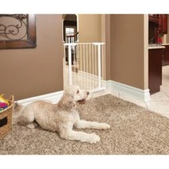 MidWest ICrate Fold & Carry Double Door Collapsible Wire Dog Crate & MidWest Steel Pet Gate 15 MidWest ICrate Fold & Carry Double Door Collapsible Wire Dog Crate & MidWest Steel Pet Gate -Pup Haven Sales Store 815238 PT6. AC SS1800 V1679500873