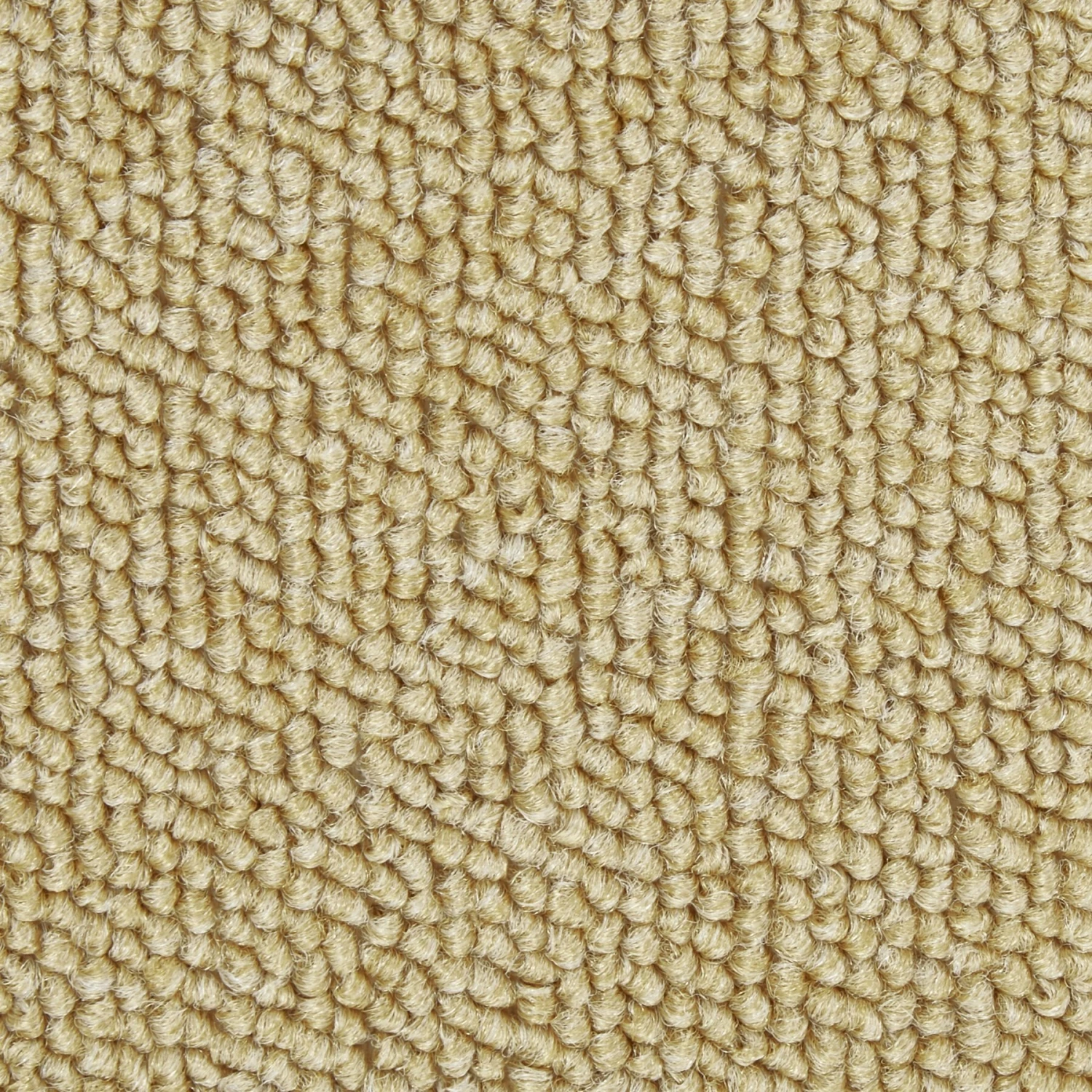 Gen7Pets Mini Indoor Foldable Dog Ramp 7 Gen7Pets Mini Indoor Foldable Dog Ramp - Image 7