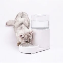 Hanamya Automatic Water Dispenser With 3 Liter Capacity Dog & Cat Waterer, White 5 Hanamya Automatic Water Dispenser With 3 Liter Capacity Dog & Cat Waterer, White -Pup Haven Sales Store 838830 PT2. AC SS1800 V1682371270