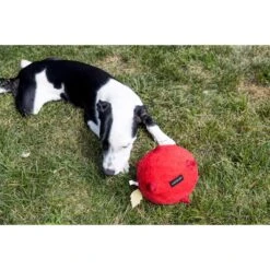 Playology Puppy Sensory Ball Chicken Dog Toy, Yellow, Large -Pup Haven Sales Store 838982 PT3. AC SS1800 V1683745403