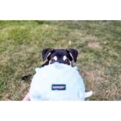 Playology Puppy Sensory Ball Chicken Dog Toy, Yellow, Large -Pup Haven Sales Store 838982 PT4. AC SS1800 V1683740473