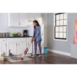 Dirt Devil Simpli-Stik Plus Dog & Cat Stain Remover, Red -Pup Haven Sales Store 842742 PT3. AC SS1800 V1682534980