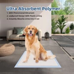 Honey Care All-Absorb Ultra Absorbent & Odor Eliminating Dog & Puppy Training Pads, 30-in X 36-in, 30 Count 8 Honey Care All-Absorb Ultra Absorbent & Odor Eliminating Dog & Puppy Training Pads, 30-in X 36-in, 30 Count -Pup Haven Sales Store 846726 PT3. AC SS1800 V1694720228