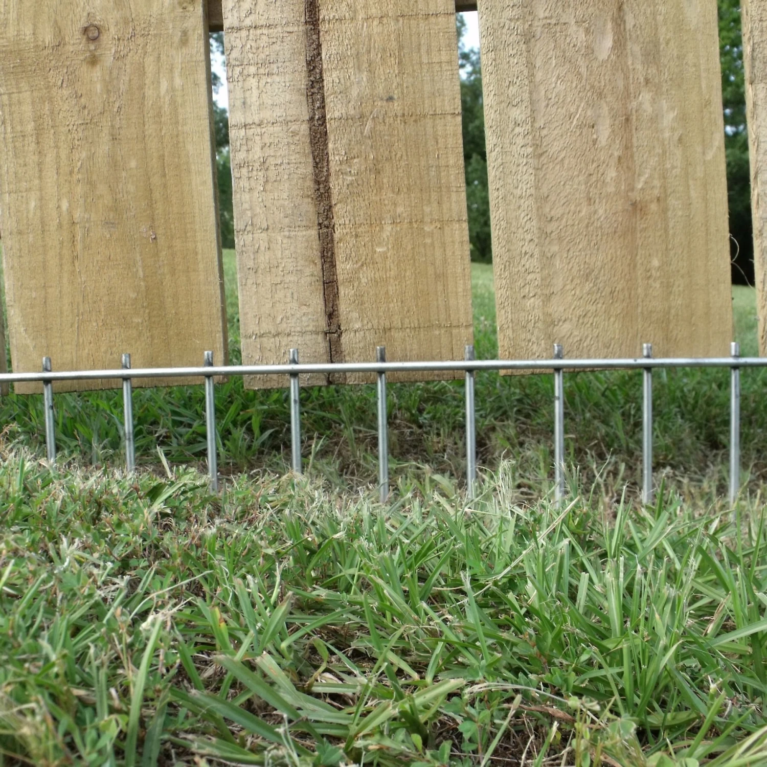 Dig Defence No-Dig Small/Medium Dog Barrier, 8-in 2 Dig Defence No-Dig Small/Medium Dog Barrier, 8-in - Image 2