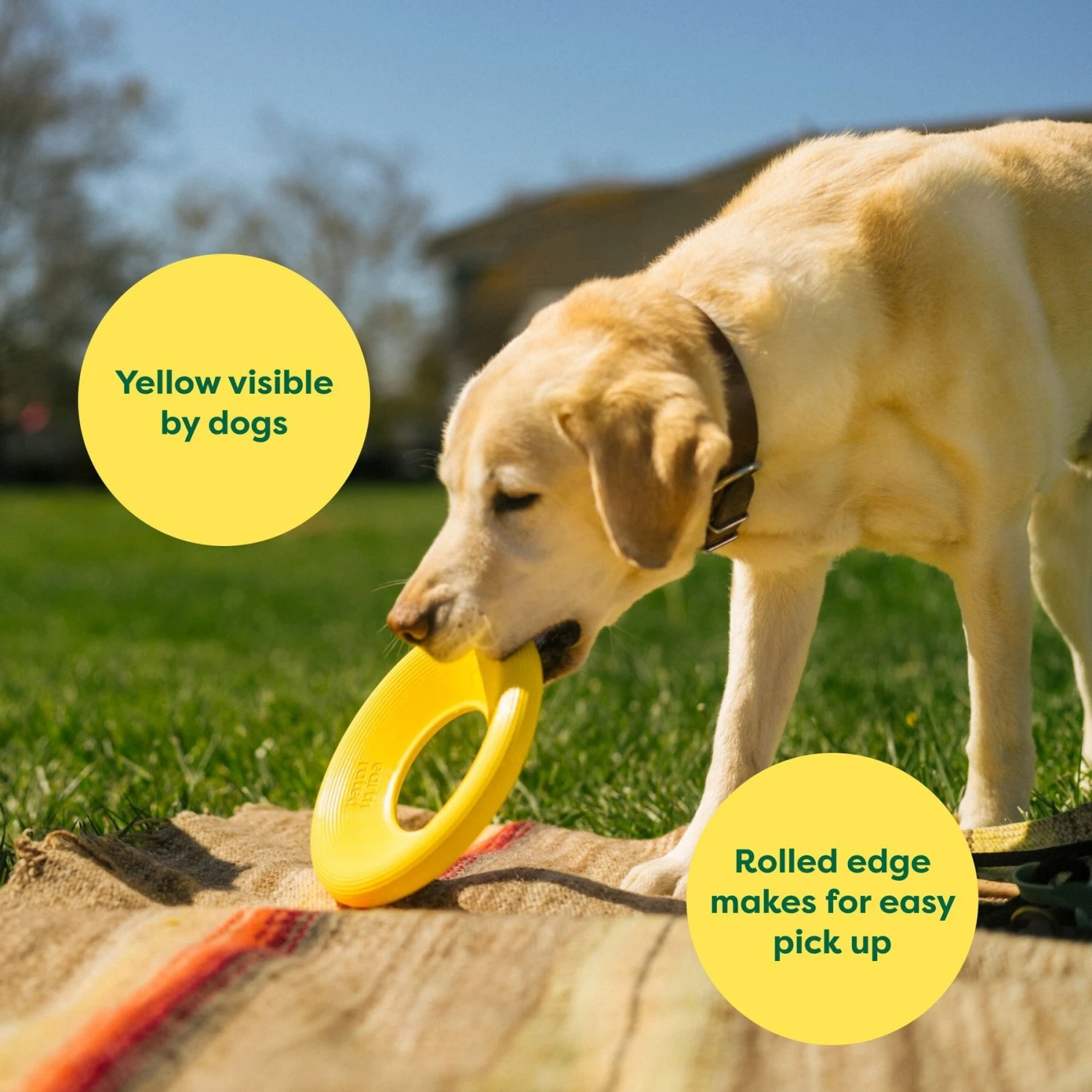 Earth Rated Flyer Dog Toy 4 Earth Rated Flyer Dog Toy - Image 4