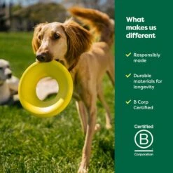 Earth Rated Flyer Dog Toy 15 Earth Rated Flyer Dog Toy -Pup Haven Sales Store 856190 PT6. AC SS1800 V1701983219