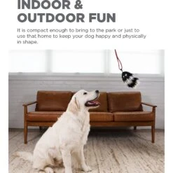 Outward Hound Tail Teaser With Refill Dog & Cat Teaser Toy 10 Outward Hound Tail Teaser With Refill Dog & Cat Teaser Toy -Pup Haven Sales Store 85934 PT2. AC SS1800 V1636518395