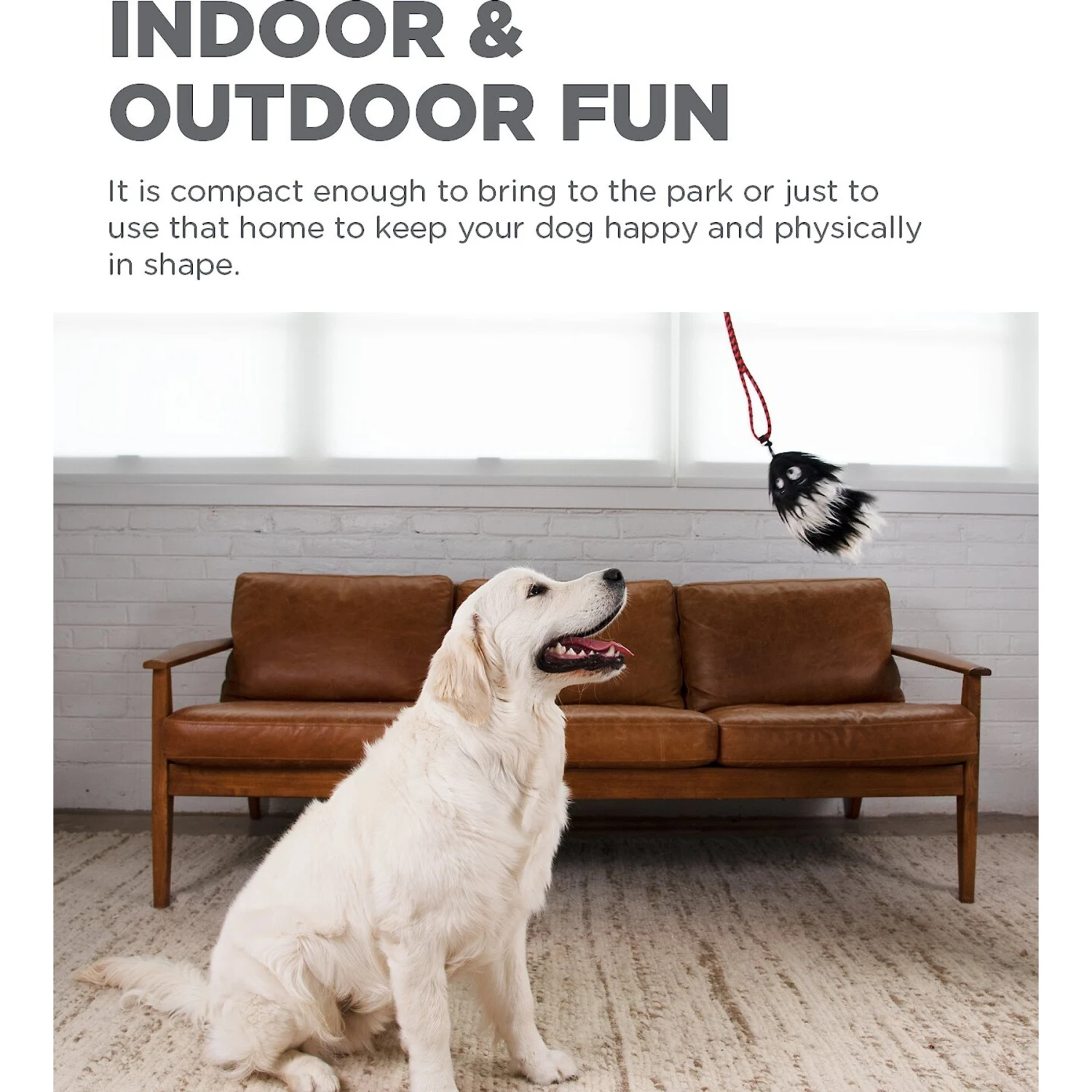 Outward Hound Tail Teaser With Refill Dog & Cat Teaser Toy 3 Outward Hound Tail Teaser With Refill Dog & Cat Teaser Toy - Image 3