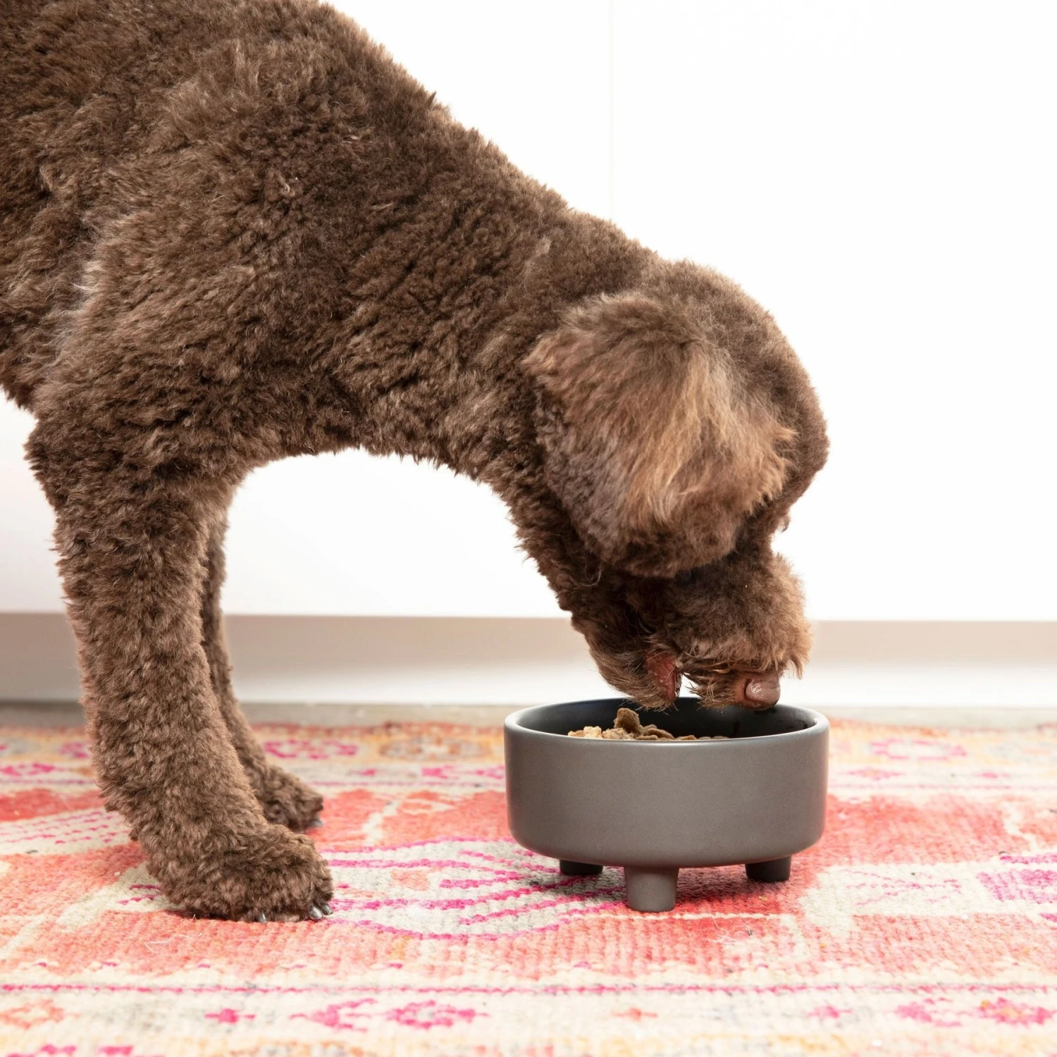 Waggo Uplift Elevated Ceramic Cat & Dog Bowl 3 Waggo Uplift Elevated Ceramic Cat & Dog Bowl - Image 3