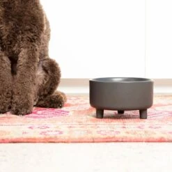 Waggo Uplift Elevated Ceramic Cat & Dog Bowl 10 Waggo Uplift Elevated Ceramic Cat & Dog Bowl -Pup Haven Sales Store 889142 PT3. AC SS1800 V1698094193