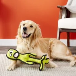 Tuffy's Alien G6 Plush Dog Toy 9 Tuffy's Alien G6 Plush Dog Toy -Pup Haven Sales Store 90115 PT3. AC SS1800 V1589560631