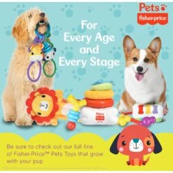 FISHER PRICE Tugs With Friends Intercative Dog Toy, Multicolor -Pup Haven Sales Store 908054 PT7. AC SS1800 V1699022106