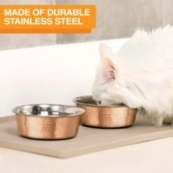 Neater Pets Brands Decorative Hammered Dog & Cat Bowl -Pup Haven Sales Store 909350 PT3. AC SS1800 V1688580431
