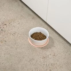 Waggo Habit Circle Silicone Dog & Cat Placemat, 2 Count -Pup Haven Sales Store 910598 PT3. AC SS1800 V1697761939