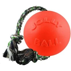 Jolly Pets Romp-n-Roll Dog Toy, Orange