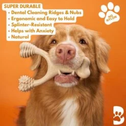 BetterBone Tough Dog Toy, Natural -Pup Haven Sales Store 919198 PT3. AC SS1800 V1691775834