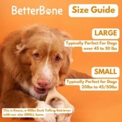 BetterBone Tough Dog Toy, Natural -Pup Haven Sales Store 919198 PT6. AC SS1800 V1691776100