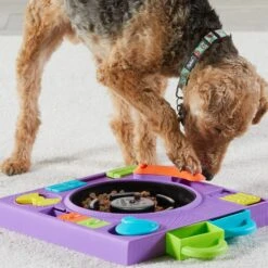 Brightkins DJ Doggo Puzzle Feeder Dog Toy 11 Brightkins DJ Doggo Puzzle Feeder Dog Toy -Pup Haven Sales Store 930054 PT4. AC SS1800 V1698765989