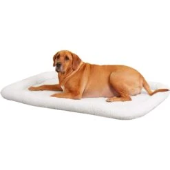 MidWest Solutions Series XX-Large Heavy Duty Double Door Wire Dog Crate, 54 Inch & MidWest Quiet Time Fleece Dog Crate Mat -Pup Haven Sales Store 939374 PT5. AC SS1800 V1691785952