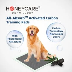 Honey Care All-Absorb Charcoal Carbon Eliminating Urine Odor Dog Training Pads, 22x23-in, 100 Count -Pup Haven Sales Store 982918 PT3. AC SS1800 V1697727170