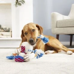 Frisco Holiday Snowman Plush With Rope Squeaky Dog Toy & Frisco Holiday Reindeer Plush With Rope Squeaky Dog Toy -Pup Haven Sales Store 986174 PT4. AC SS1800 V1698258345