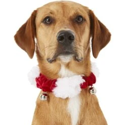 Frisco Holiday Dog & Cat Santa Hat, 1 Count & Frisco Jingle Bells Dog & Cat Holiday Collar With Bells, 1 Count 16 Frisco Holiday Dog & Cat Santa Hat, 1 Count & Frisco Jingle Bells Dog & Cat Holiday Collar With Bells, 1 Count -Pup Haven Sales Store 986254 PT7. AC SS1800 V1698258115
