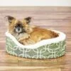 MidWest QuietTime Defender Orthopedic Bolster Cat & Dog Bed With Removable Cover