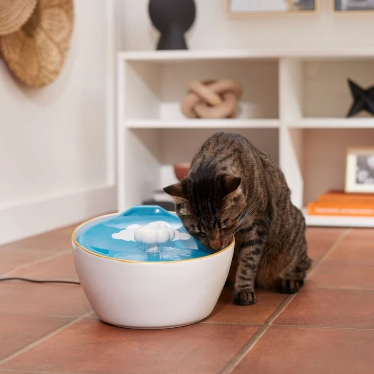 Pup Haven Sales Store 35 Pup Haven Sales Store -Pup Haven Sales Store 355803 MAIN. AC SS1800 V1665684257 768x768 1